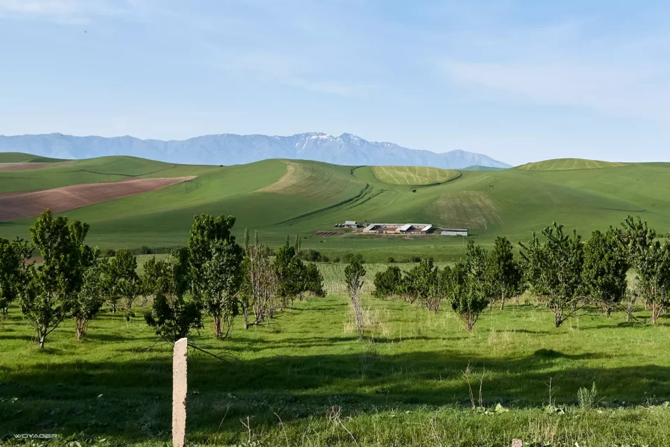 Аксаката › Карангур 2943 м 1 dsc 08893 | woyager