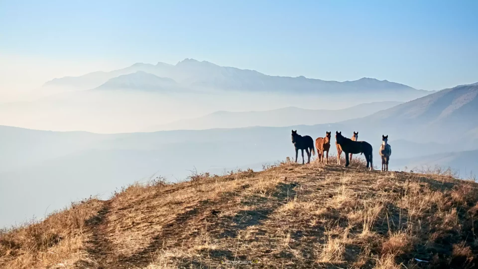 dsc01825w | woyager