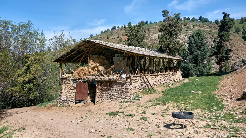 Лашкарак › Графские развалины 4 dsc02717 | woyager