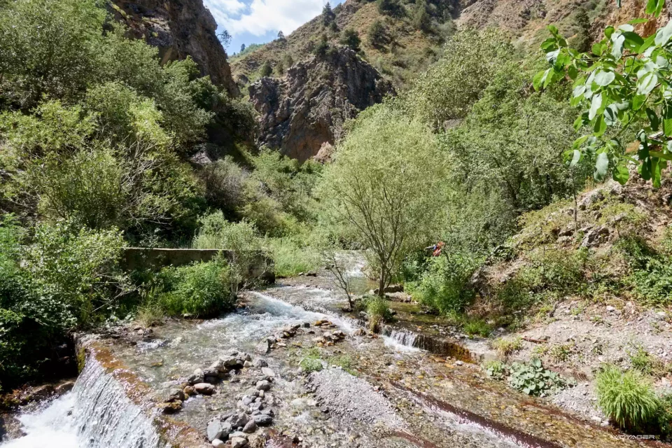 dsc 09137 | woyager